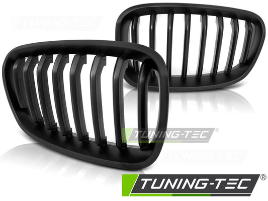 Sportgrill Schwarz matt passend für BMW F20 F21 11-12.14