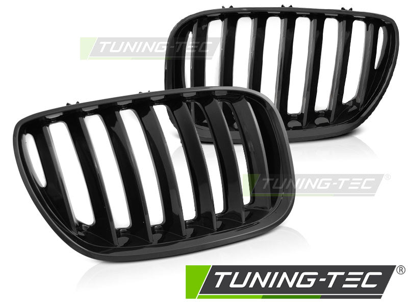 Sportgrill Schwarz glänzend passend für BMW X5 E53 LCI 04-06