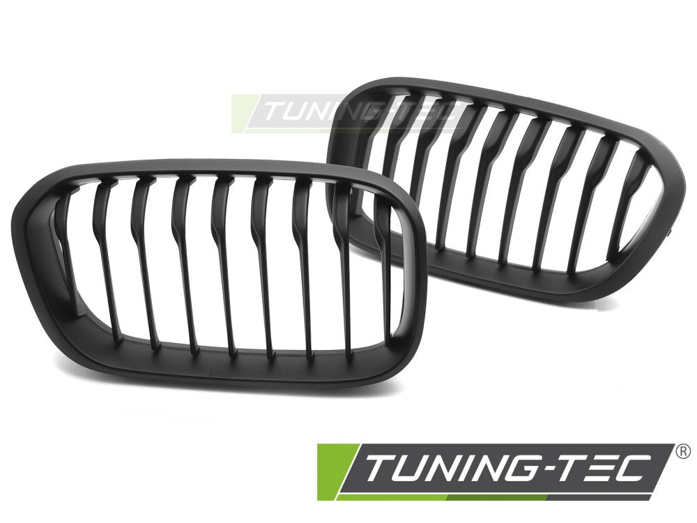 Sportgrill Schwarz matt passend für BMW F20 / F21 LCI 15-18