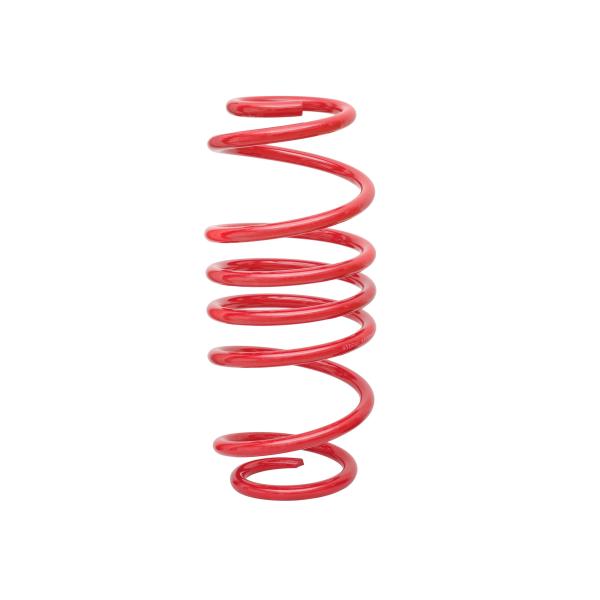 Redline Gewindefahrwerk passend für Fiesta JH und JD 1.25, 1.3, 1.4, 1.6, 1.4TDCi, 1.6TDCi, Baujahr 11.2001 - 2008 und passend für Ford Fiesta ST 2.0 Baujahr 11.2004 - 2008