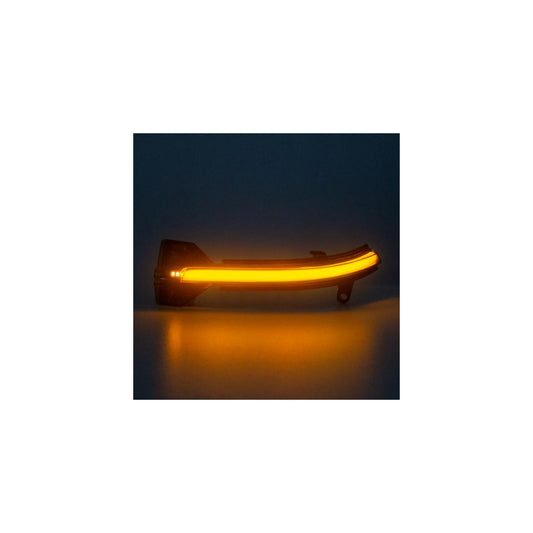 LED Blinker Aussenspiegel passend für BMW F10 Limo | F11 Touring | 2013-2017 SCHWARZ